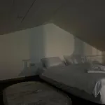 Ferienhaus Field House